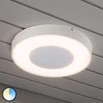 Rund LED udendørs loftlampe Carrara i hvid