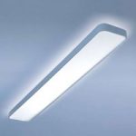 Lang LED loftslampe Caleo-X1 vh 120 cm