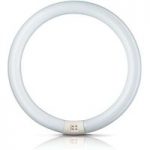 G10q 40W 840 ring-lysstofrør Master Circular TL-E