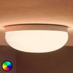 Philips Hue Flourish LED-loftlampe