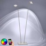 LED gulvlampe Fisheye, ZigBee-kompatibel, 2 lys