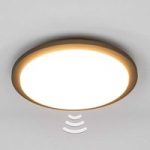 Benton – LED-udendørs loftslampe med sensor