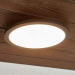 Malena – LED-loftslampe til udendørs